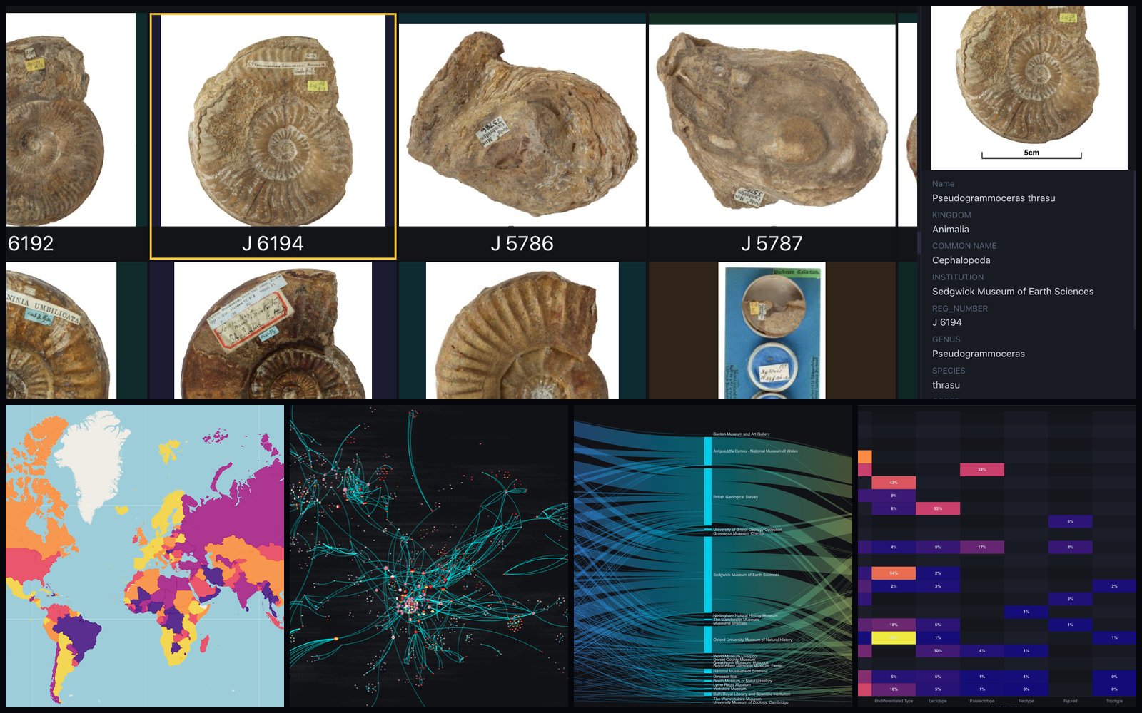 SuAVE interface showing fossil image tiles, a world map, a network graph, and chart views